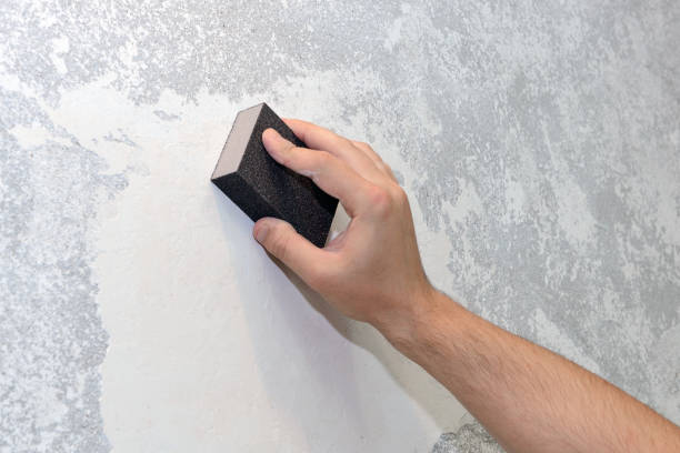 Best Commercial Mold Inspection  in Vista Center, NJ