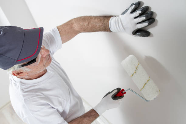 Best Dehumidification Services  in Vista Center, NJ