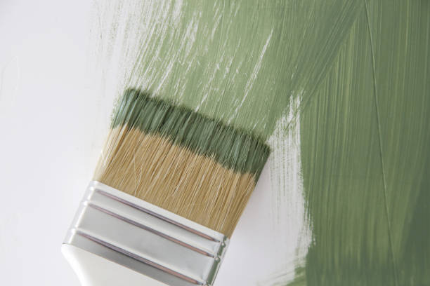 Best Mold Damage Restoration  in Vista Center, NJ
