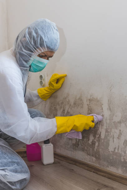 Best Residential Mold Inspection & Testing  in Vista Center, NJ