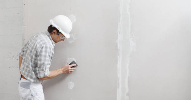 Best Basement Mold Removal  in Vista Center, NJ