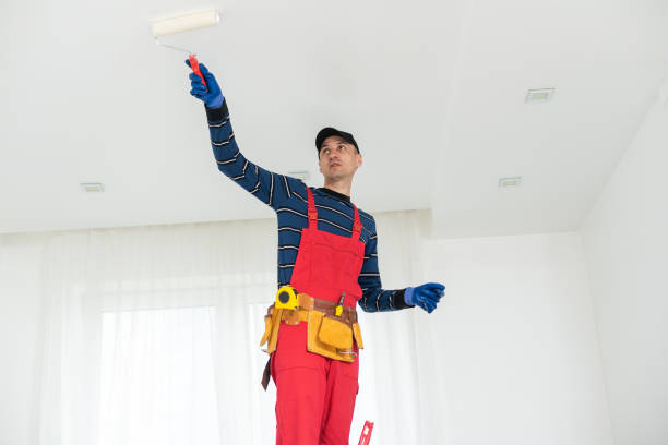 Best Forensic Mold Investigation  in Vista Center, NJ