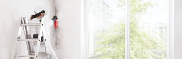 Best HVAC Mold Inspection and Cleaning  in Vista Center, NJ