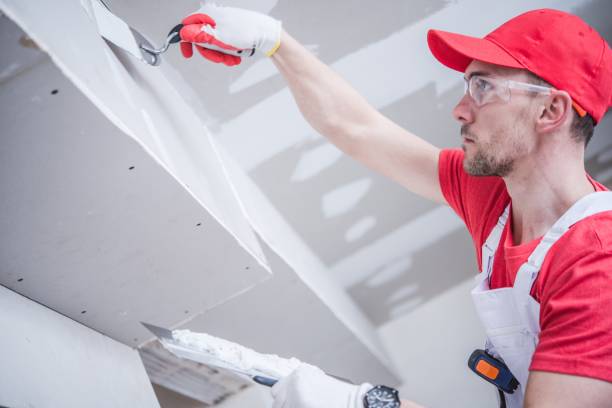 Best Emergency Mold Remediation  in Vista Center, NJ